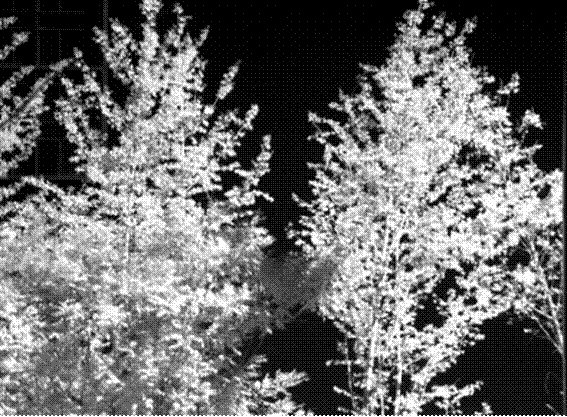 产品外观及成像展示